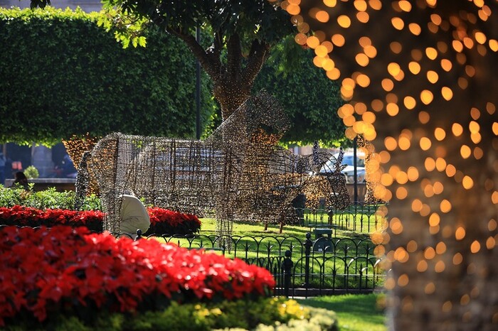 El espíritu navideño impregna Morelia; turistas quedan maravillados