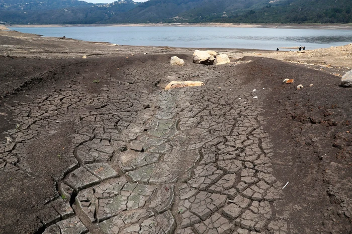 El mundo necesitara alrededor de mil mdd diarios para combatir la sequía