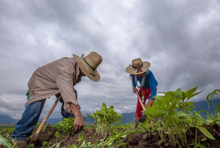 ‘El Niño’ amenaza con mayor inflación y tasas de interés altas en América Latina
