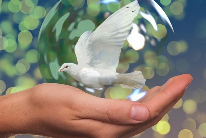 Elementos de seguridad pública correrán por la unidad y la paz