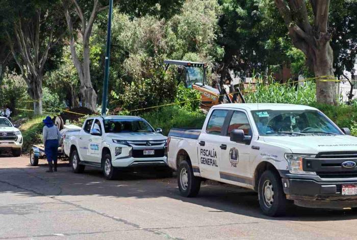 Empleados del Ooapas hallan parte de cráneo humano a la orilla de la Av. Solidaridad