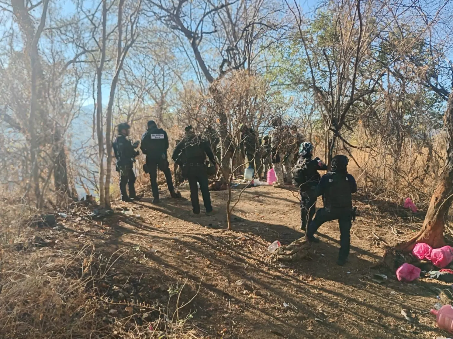 En Apatzingán, SSP asegura arma, explosivos e incinera plantas de marihuana; hay 2 detenidos