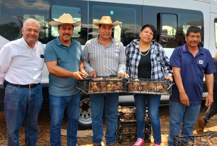 En apoyo al campo, Gobierno de Morelia entrega gallinas ponedoras en la Agrotegan