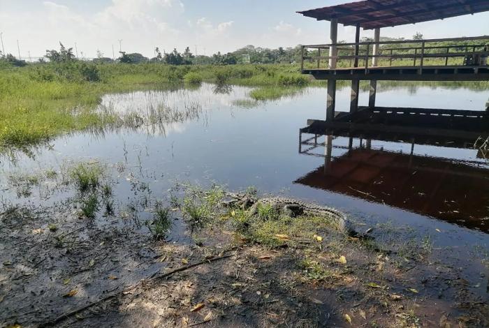 Noticias de Michoacán