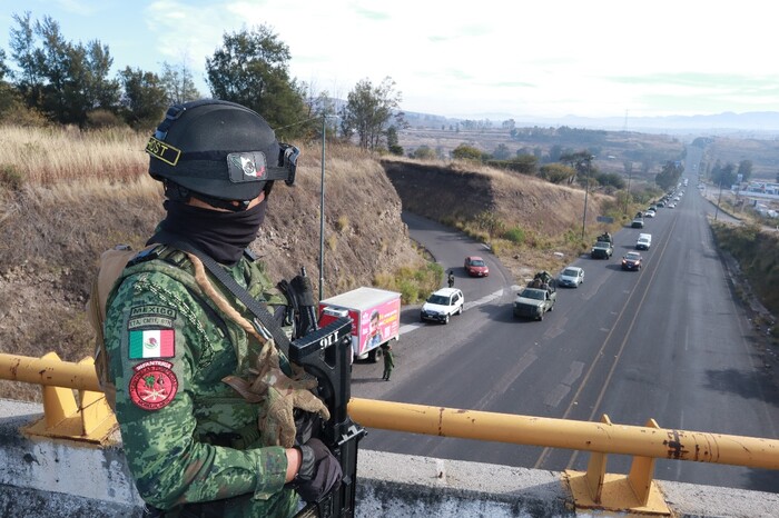 En dos meses, ubican 101 plantíos de mariguana en Michoacán