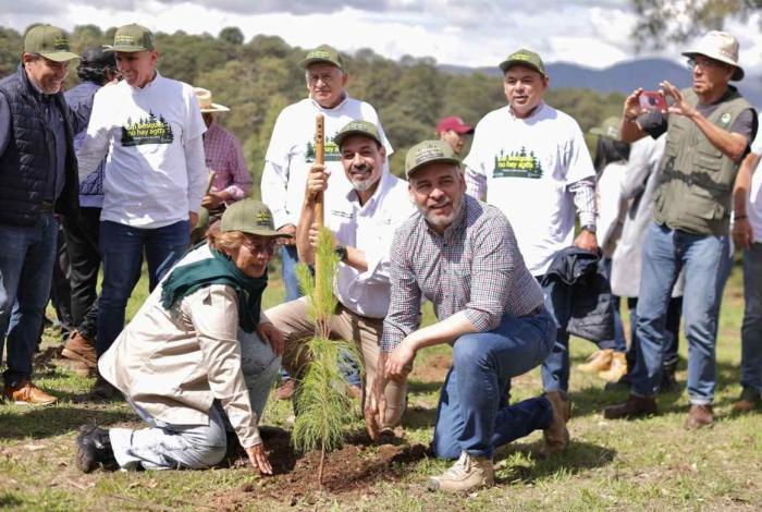 En julio inicia dispersión aérea de 200 mil semillas para reforestar: Bedolla