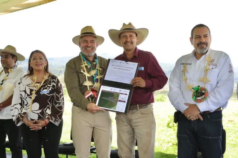 En la búsqueda de proteger el lago de Pátzcuaro comunidades indigenas ceden mas de 8 mil hectáreas de bosque