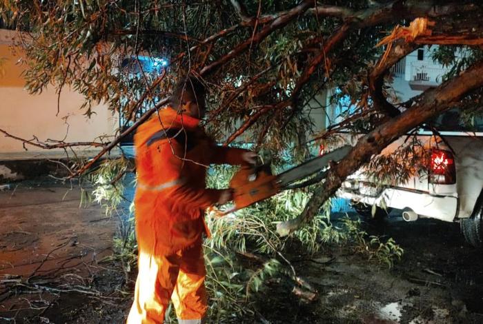 En Morelia, intensa lluvia tira un árbol y una estructura metálica