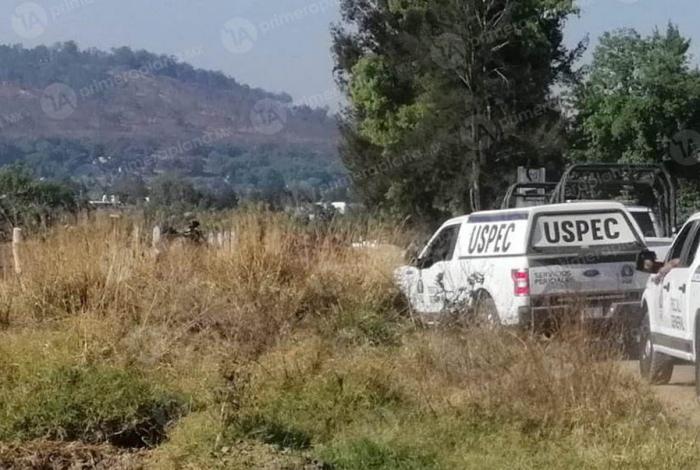 Encuentran cu3rp0 dentro de huerta de aguacate en Parácuaro
