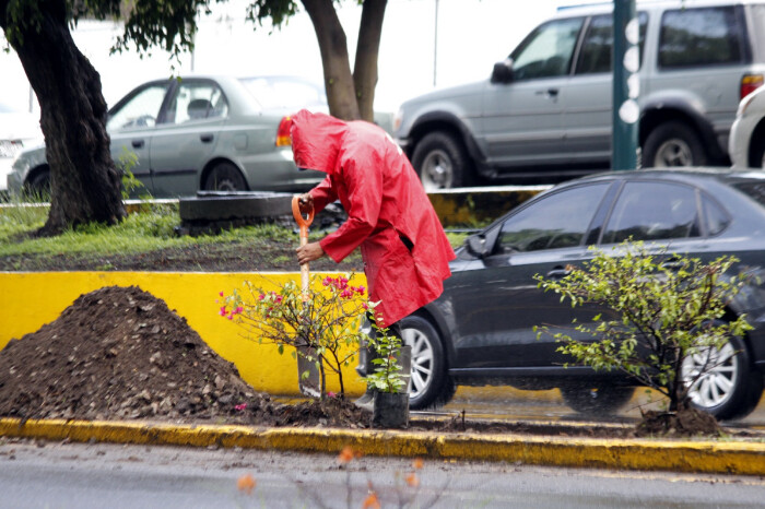 Encuesta | ¿Por qué se inundan varias zonas de Morelia cuando llueve fuerte? Esto dicen los usuarios