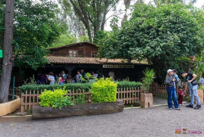 Escápate al zoológico y vive un verano inolvidable; conoce su horario de temporada