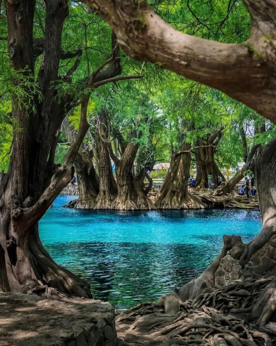 Escápate este verano al lago de Camécuaro, joya natural de Michoacán: Sectur