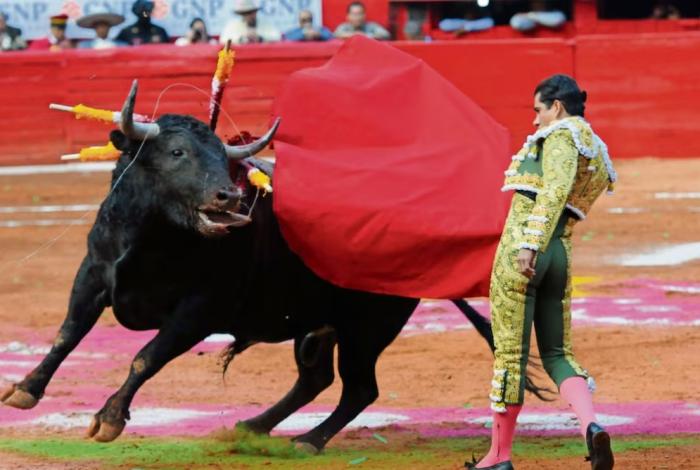 Espectáculos taurinos sin violencia son inviables: Plaza México