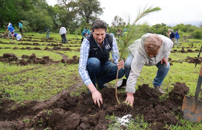 Este 2024, Alfonso Martínez cumplirá meta de 1 millón de árboles sembrados