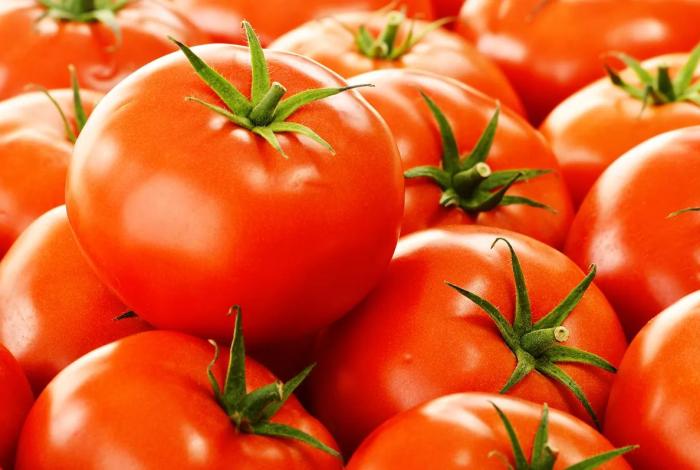 Este lunes, los aranceles del 20.91% sobre el jitomate mexicano han comenzado a aplicarse en EUA