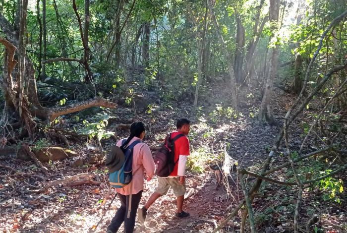 Este verano explora las áreas naturales protegidas de Michoacán en familia