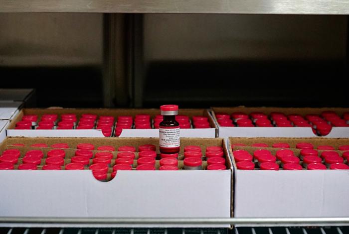 Estos son los 36 módulos de vacunación contra sarampión en Morelia; hay 934 a nivel estatal