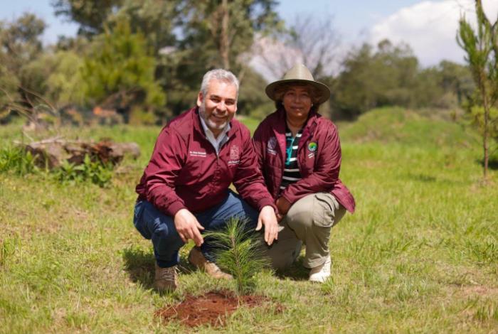 Estrategia ambiental de Michoacán sumará histórico de 50 millones de árboles reforestados: Bedolla