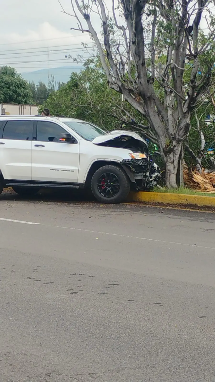 Estrella su lujosa camioneta contra un árbol en Morelia