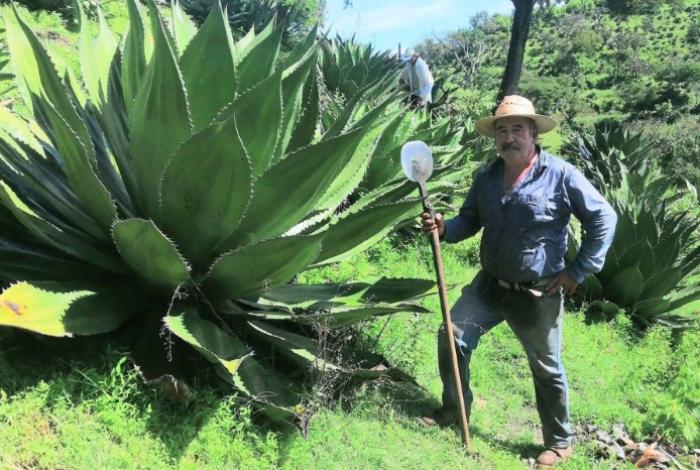 Familiares de mezcalero asesinado se deslindan de las declaraciones de Memo Valencia