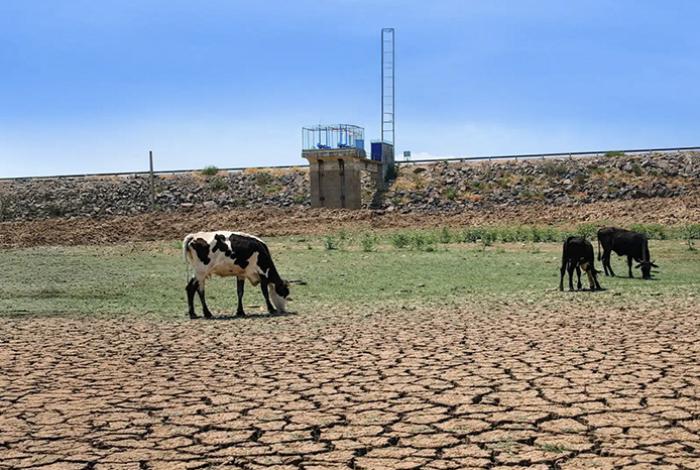 Fenómeno El Niño amenaza con agravar la crisis hídrica y climática en México