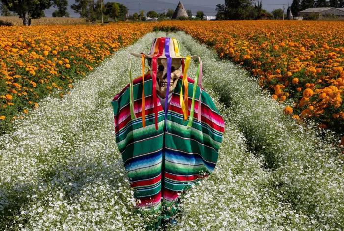 Festival de las Flores de Copándaro prepara un fin de semana lleno de tradición y color
