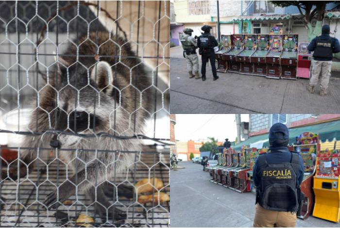 FGE ejecuta 22 cateos en Morelia y Los Reyes; asegura 154 máquinas tragamonedas, drogas y un mapache