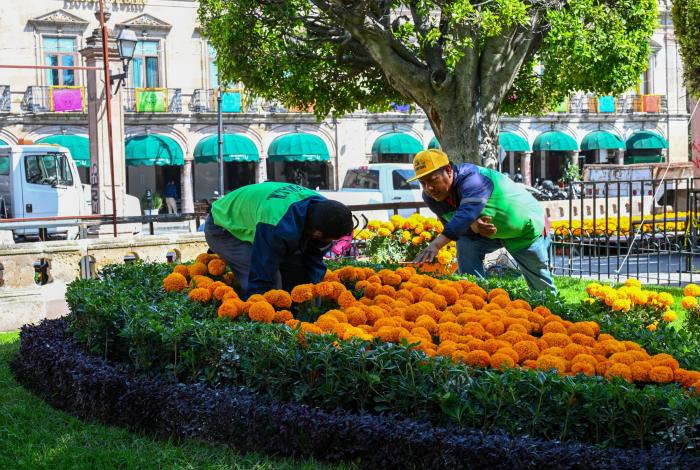 Flores de cempasúchil inundan Morelia