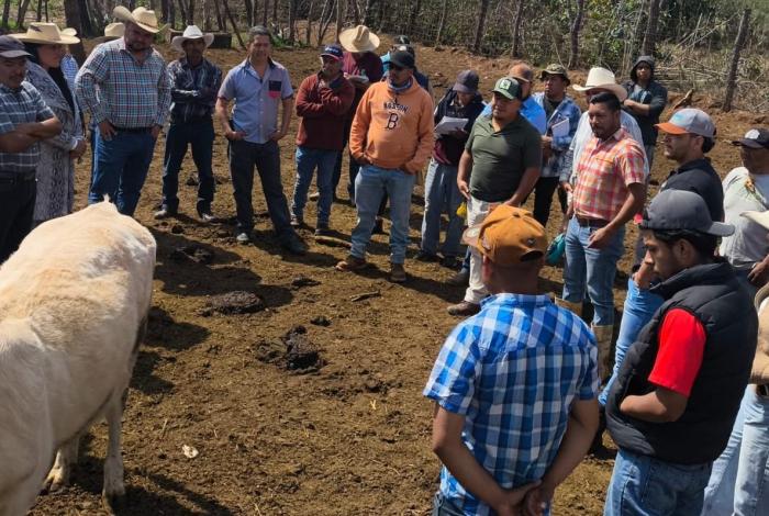 Fortalece CEFOGA la capacitación técnica en inseminación artificial en Santa Fe de la Laguna