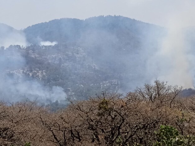 #Fotos | Brigadas forestales atienden 3 incendios en Zinapécuaro, Ario y Morelia