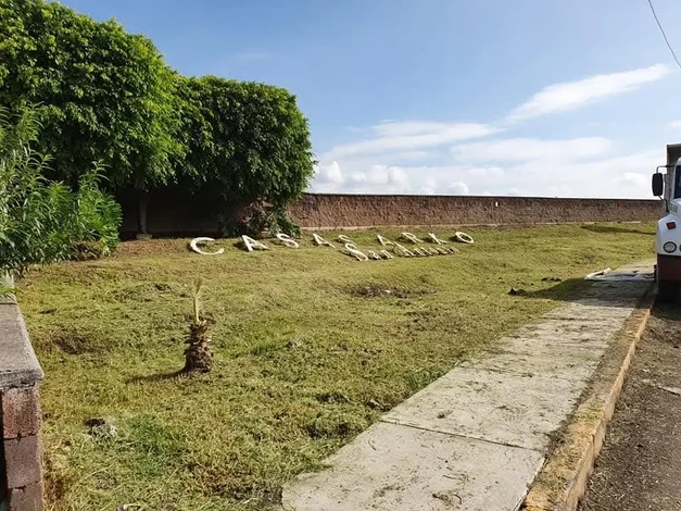 Fraccionamiento Arko San Antonio, gran foco rojo de envenenamiento de perros