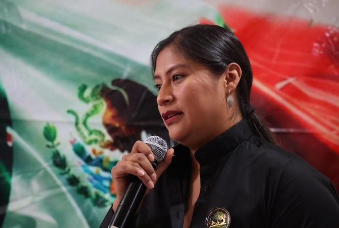 Fundadores de Morena en Michoacán respaldan a Celeste Ascencio y llaman a fortalecer la Transformación