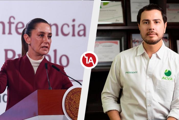 Gabinete de seguridad va por quienes dieron muerte a líder limonero: Sheimbaum