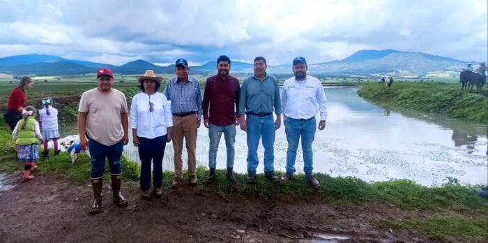 #Galería | Compesca siembra 15 mil crías de tilapia en laguna de Zinciro