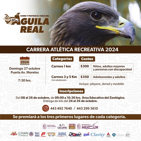 #Galería | Correrán en el Zoológico de Morelia por el águila real