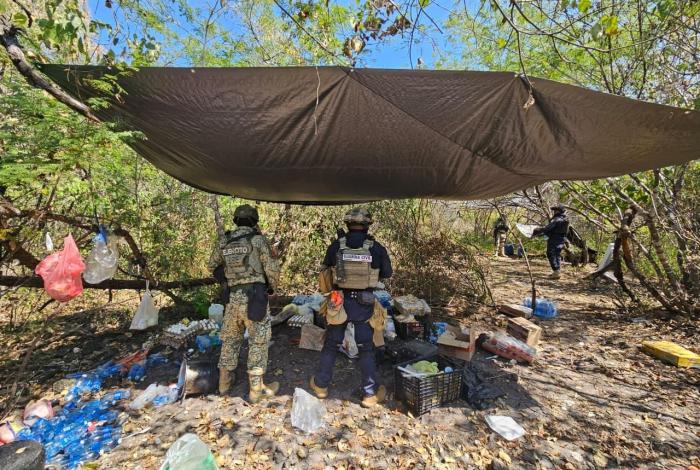 #Galería | Desmantelados 4 campamentos clandestinos en Buenavista: SSP