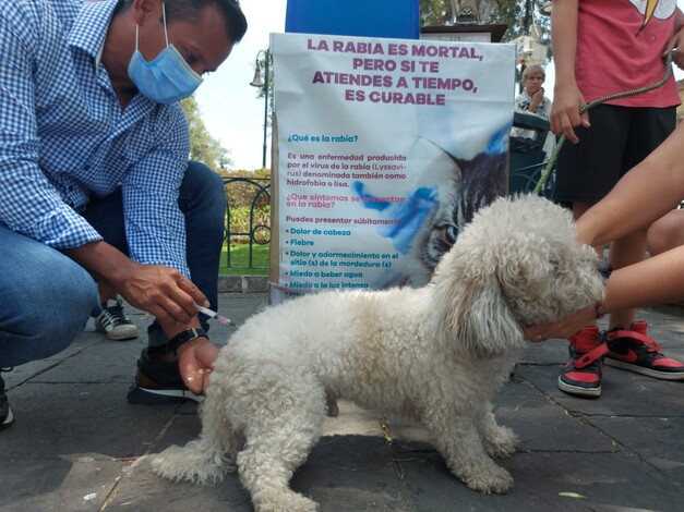 #Galería | Vacuna a tu mascota contra la rabia en el centro de salud de Morelia: SSM