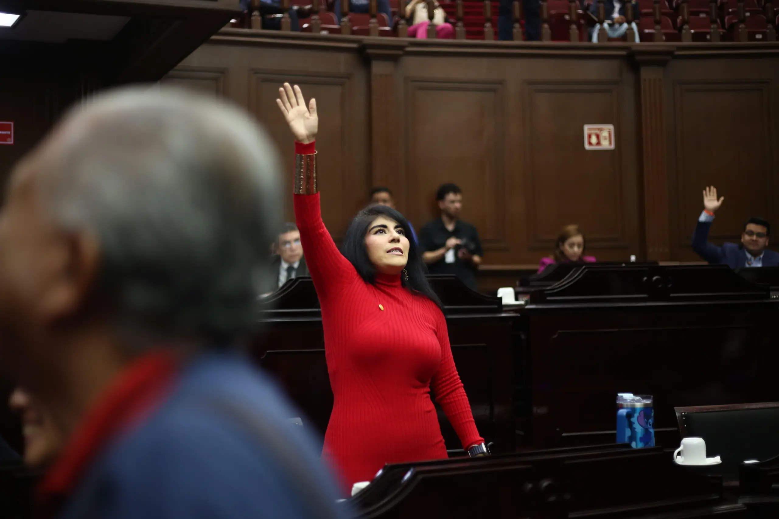 Garantizar intérpretes de señas en todas las oficinas públicas, propone Vanhe Caratachea