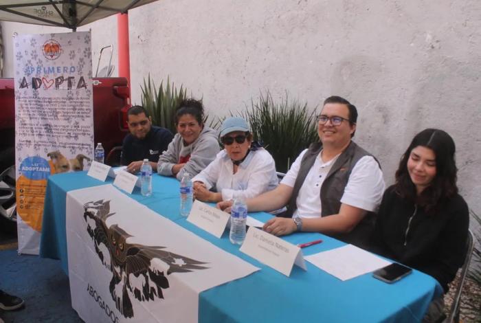 GHAPAD convoca apoyo para alimentar 2 mil 500 peludos en esta Navidad y Año Nuevo