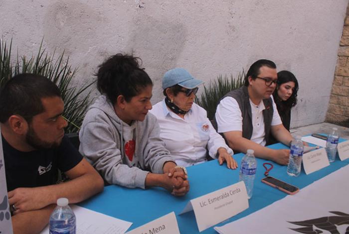 GHAPAD pide apoyo ciudadano para alimentar a 2 mil 500 perritos en situación de calle en Navidad y Año Nuevo