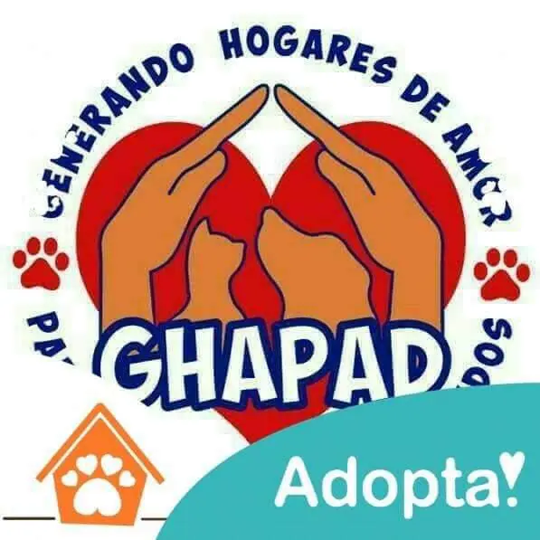 GHAPAD pide manos y corazones para PaseanDog: devolver la esperanza a 25 lomitos
