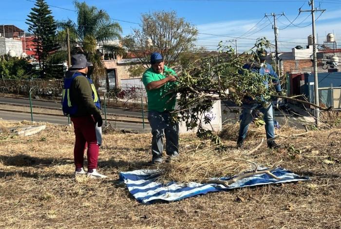 Gobierno de Morelia atiende área verde en Cumbres del Quinceo con jornada integral de mantenimiento