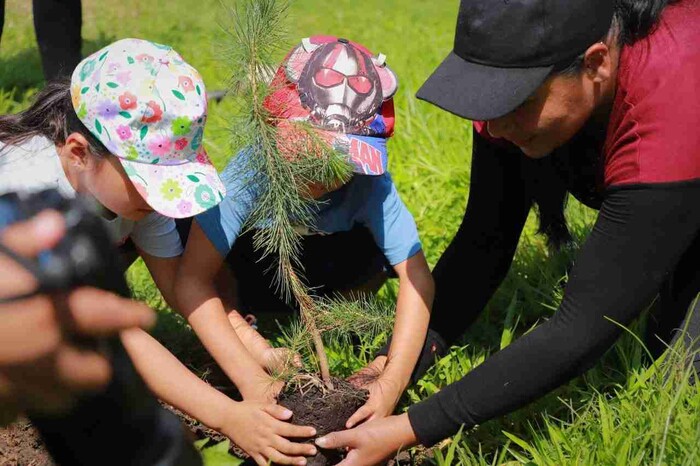 Gobierno de Morelia concluye cursos “Morelia Verano Creativo” con reforestación masiva