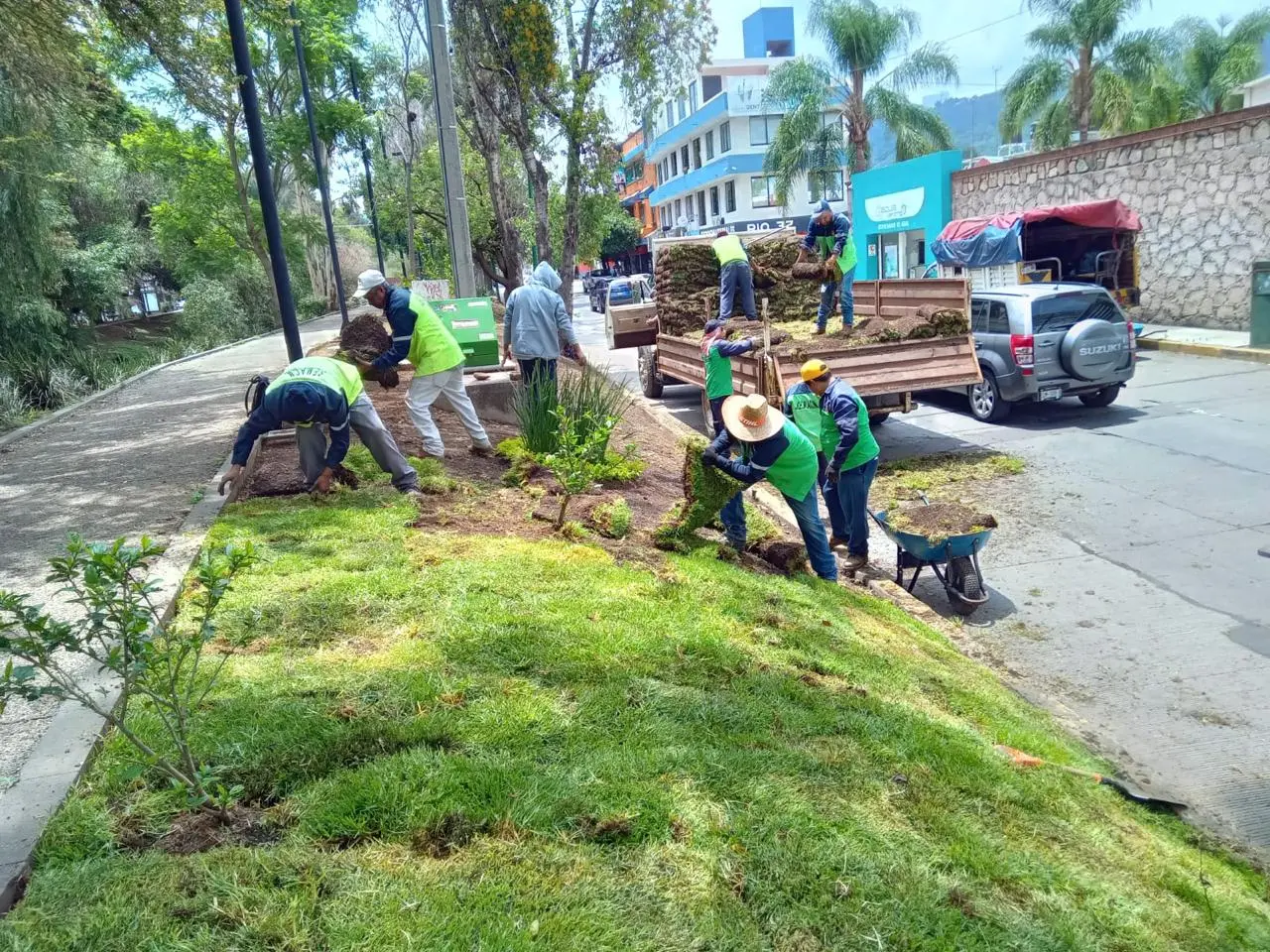 Gobierno de Morelia continúa construyendo espacios seguros con programa de Poda Sanitaria
