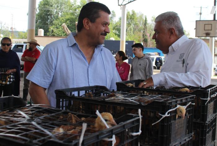 Gobierno de Morelia continúa entrega de gallinas de traspatio en apoyo al sector rural