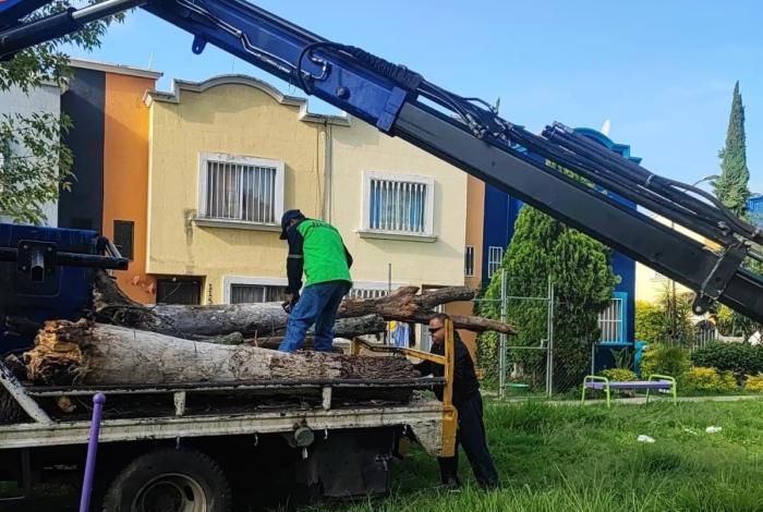 Gobierno de Morelia intensifica labores de limpieza de áreas verdes en distintos puntos de la ciudad
