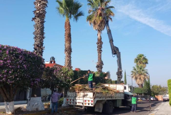 Gobierno de Morelia interviene y mejora áreas verdes