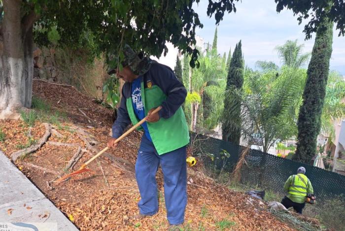 Gobierno de Morelia mantiene poda preventiva ante temporada de lluvias