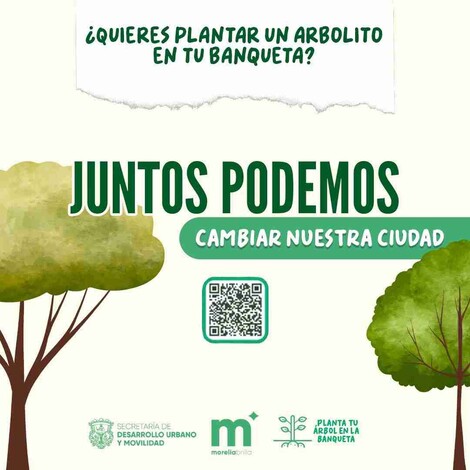 Gobierno de Morelia pone el árbol y tú elige la banqueta