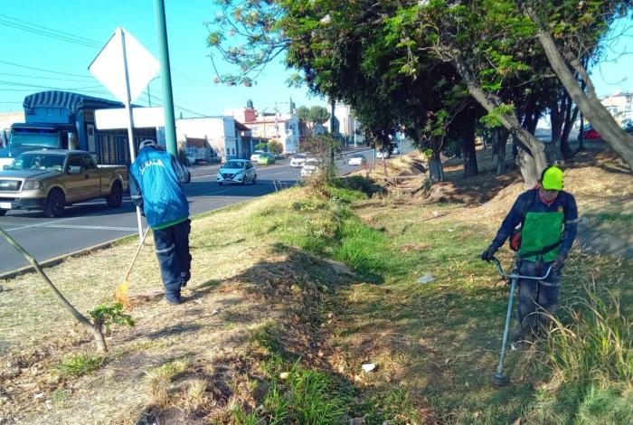 Gobierno de Morelia trabaja por una ciudad más verde y ordenada